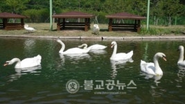 백조공원, 개방기념 체험행사