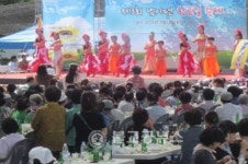 제3회 남이면 황금길 축제