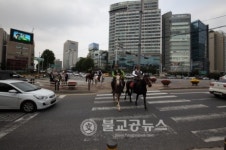 <포토뉴스>개마(開馬)축제
