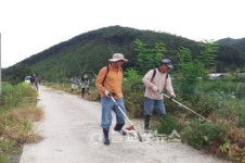 괴산군 청안면 부흥번영회 잡초제거 작업