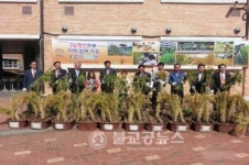 청당초 학교농장 벼베기‧탈곡 체험