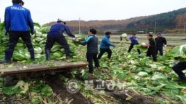 상당구, 릴레이 농촌봉사활동