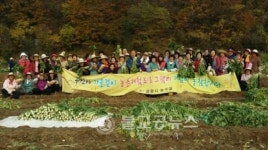 삼광사, 구인사 가을걷이 동참하다.