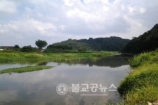 부여군, 구룡천 정비사업