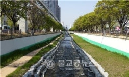 물의 도시 대구 만든다