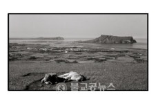돌문화공원관리사무소, 제주민속사진 3인전