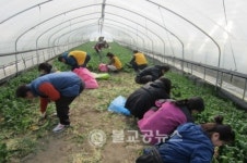 가경동주민자치위원, 자매결연마을 봉사활동