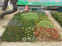 꽃향기 가득한 도시청주