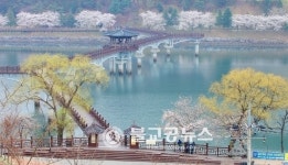 벚꽃 구경 어디가 최고?