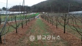 충북농업기술원, 친환경자재로 잡초방제