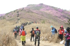 여수 영취산 진달래 축제 팡파르~