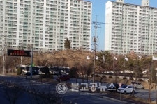 호암공원 벚꽃구경 오세요