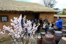 향수 초가집 앵두나무 장독대