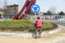 천안시, 봄맞이 가로환경 정비