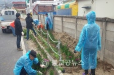 지현동, 형형색색 봄꽃 단장