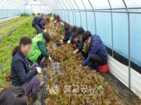 정신장애인 건강 자연에서 찾아요