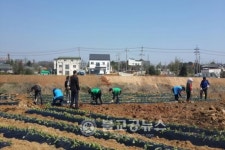 천안시, 미담사례