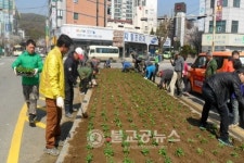 고양시 고양동, 도로변 초화 식재