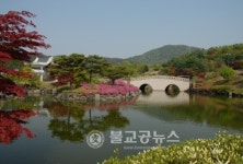 금강수목원서 봄을 느껴요