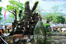 갑사괴목대신제 및 황매 축제 개최