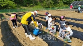 <포토뉴스> 옥천 개나리 어린이집