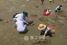 상당구청어린이집, 서해로 갯벌체험