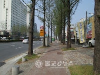 태평로, 대학로, 보행자 중심 거리로 재탄생