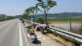 장평면, 이색적인 꽃길조성에 박차