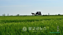 <포토뉴스> 이한배의 사진 이야기 <2>
