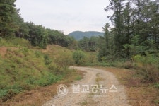 낭성면, 인경리-삼산리 임도 생겨