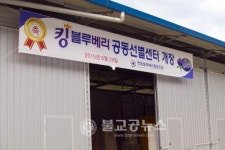 영동군, 블루베리 공동 선별센터 개장