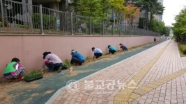 아파트 이면도로가 녹색공간으로 변신