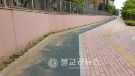 아파트 이면도로가 녹색공간으로 변신