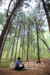 충남도교육청, 힐링캠프 운영
