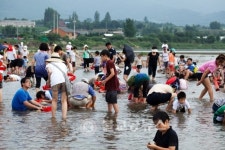 제8회 둔율올갱이 축제 개최