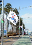 호국보훈도시 성남, 광복절 태극 물결로