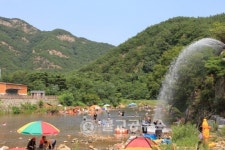 보은군, 계곡마다 피서객으로 북적