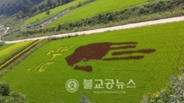 옥천군 안내면 광복이 왔습니다!