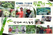 <우리농산물>철원 신가네여주농장