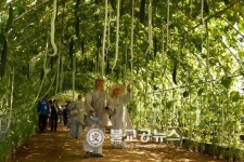 <여행>괴산세계유기농산업엑스포 대박~