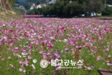 <여행>괴산세계유기농산업엑스포 대박~