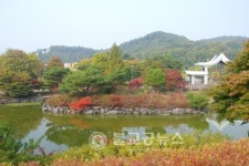 금강수목원, 가을단풍 굿~