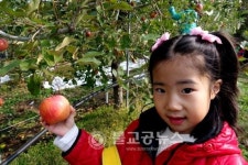 삼양유치원, 사과 따기 체험학습
