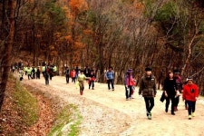 속리산 말티재 꼬부랑길 걷기대회