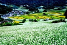 농촌체험휴양마을로 체험여행