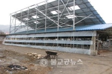 미원면 소재지 돈사악취 해결
