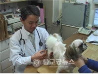 대구시, 춘계 가축예방접종 시행