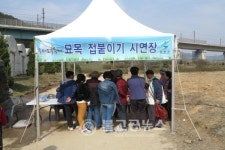 제17회 옥천묘목축제 현장스케치
