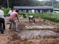주말농장 텃밭작물 재배교육 신청하세요