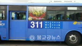 벚꽃 지기 전,'시내버스 여행'어떨까